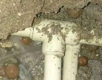 罗定测漏水多少钱