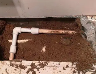 罗定测漏水哪家好