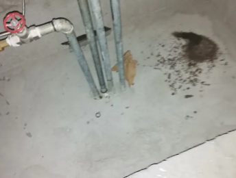 罗定卫生间测漏水价格明细